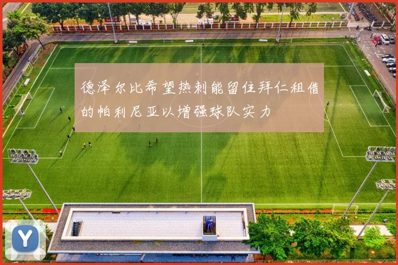 德泽尔比希望热刺能留住拜仁租借的帕利尼亚以增强球队实力