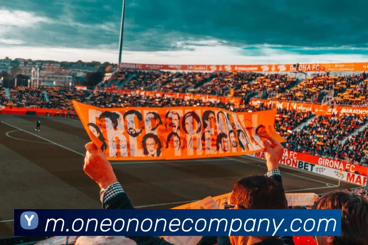 多媒体互动体验